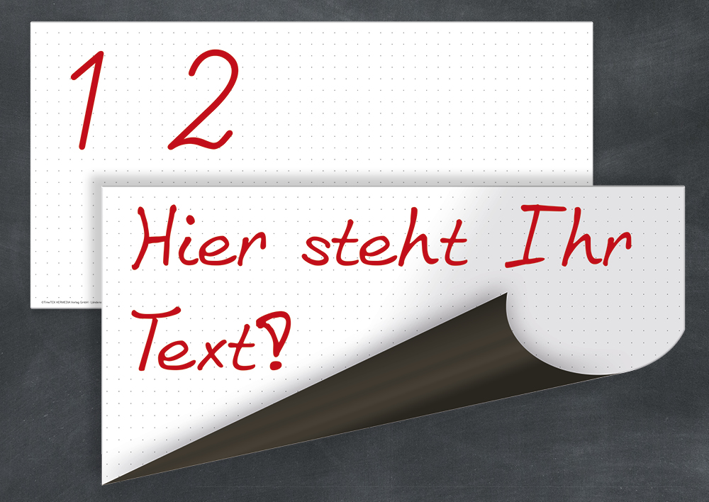 Flexo-Whiteboard mit Punktraster, magnetisch, 2-tlg.