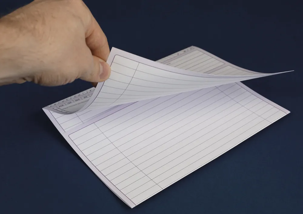 Patienten-Karteitaschen lang, 100 Stück