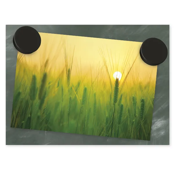 Set Rundmagnete schwarz, 50-tlg.