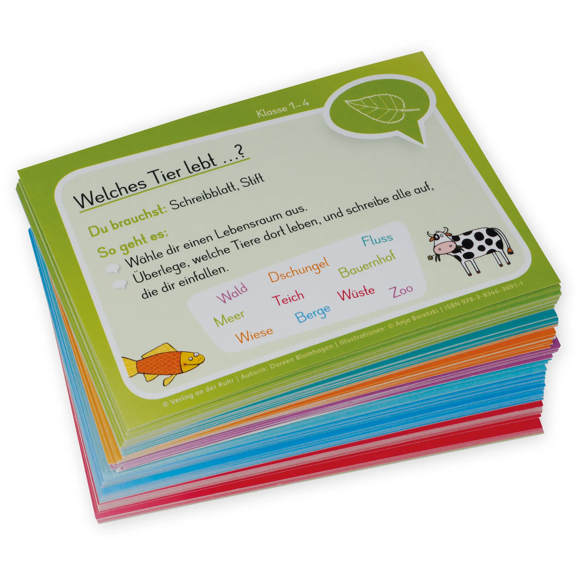 Bildkarten "Ich bin fertig! Was soll ich machen?", 88 Karten