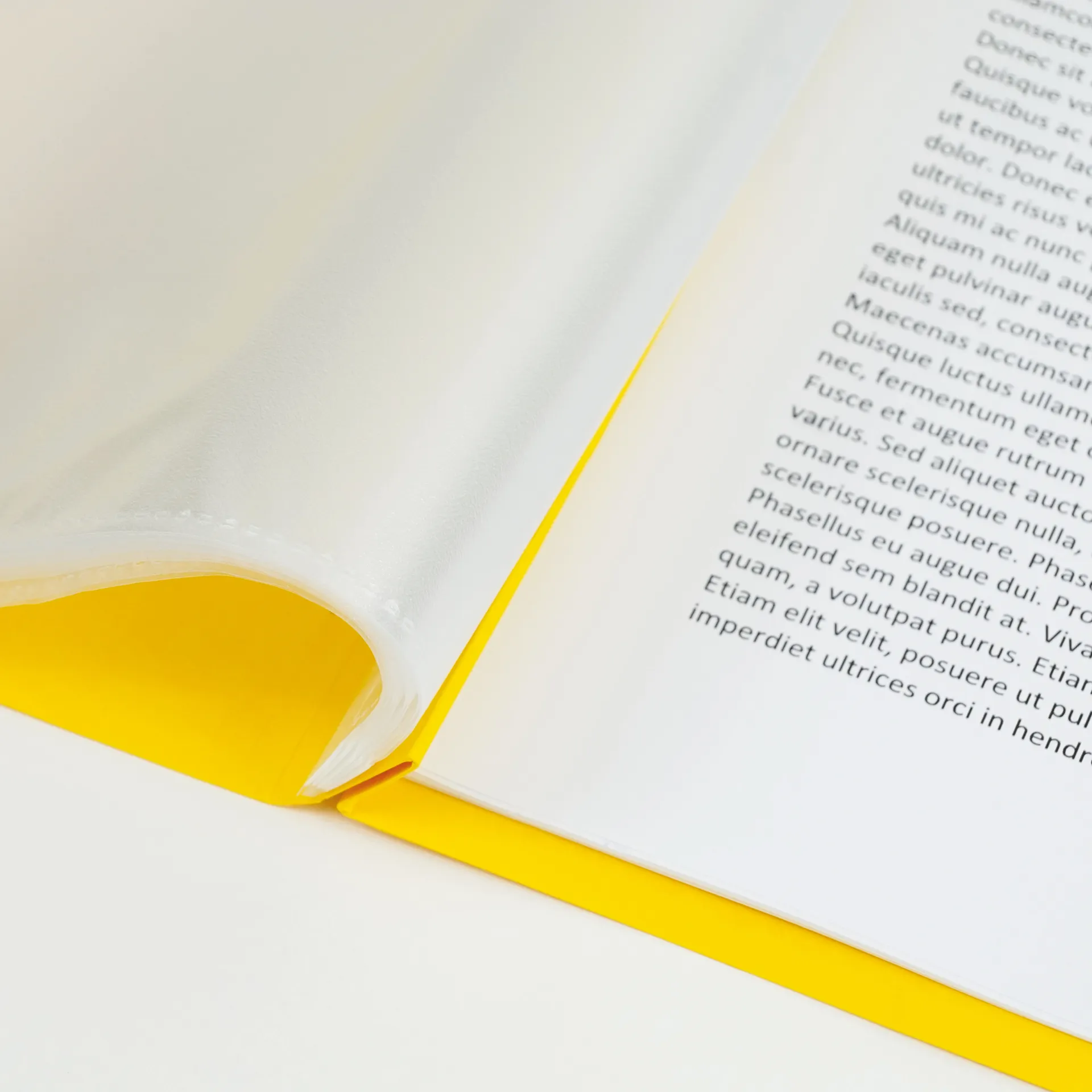 Schnellhefter Karton A4, 25-tlg.