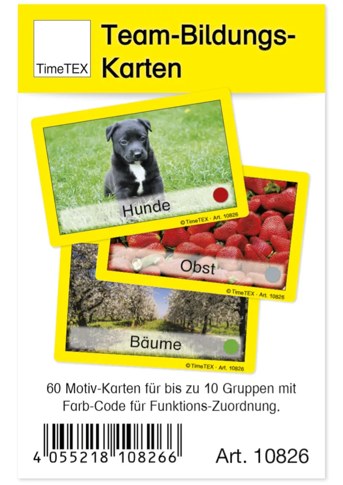 Team-Bildungs-Motiv-Karten, 60-tlg.