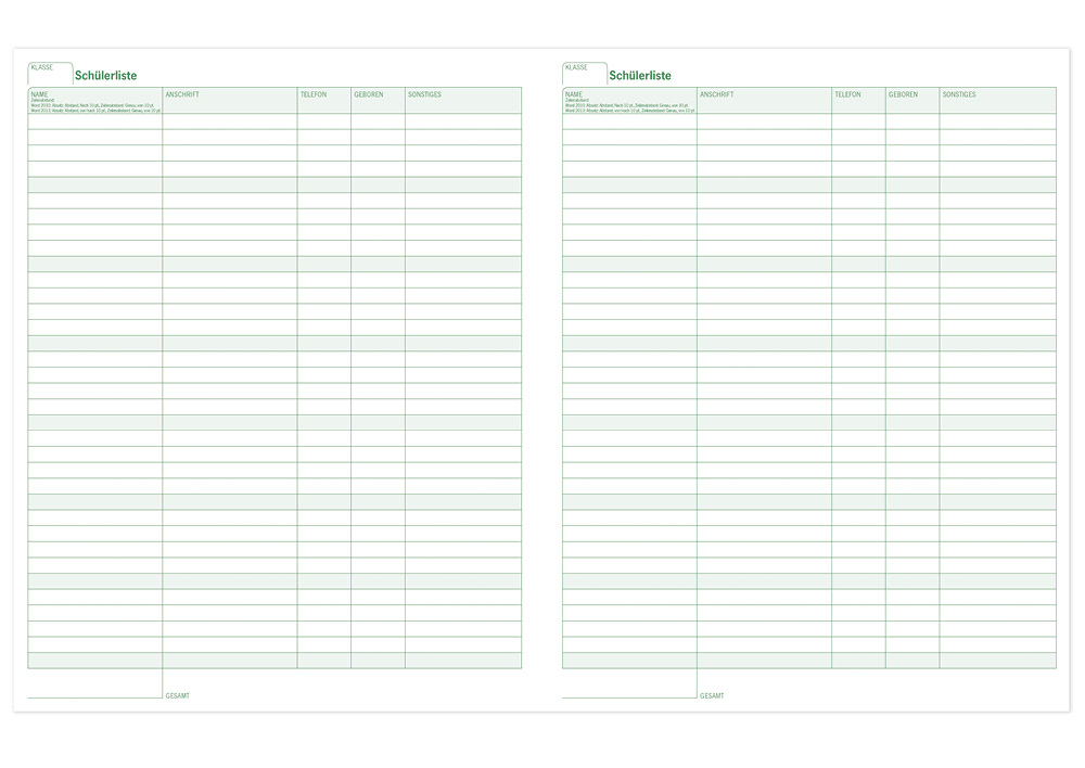 s+w Unterrichts-Planer 24/25 - 10 Stunden  A4++ 