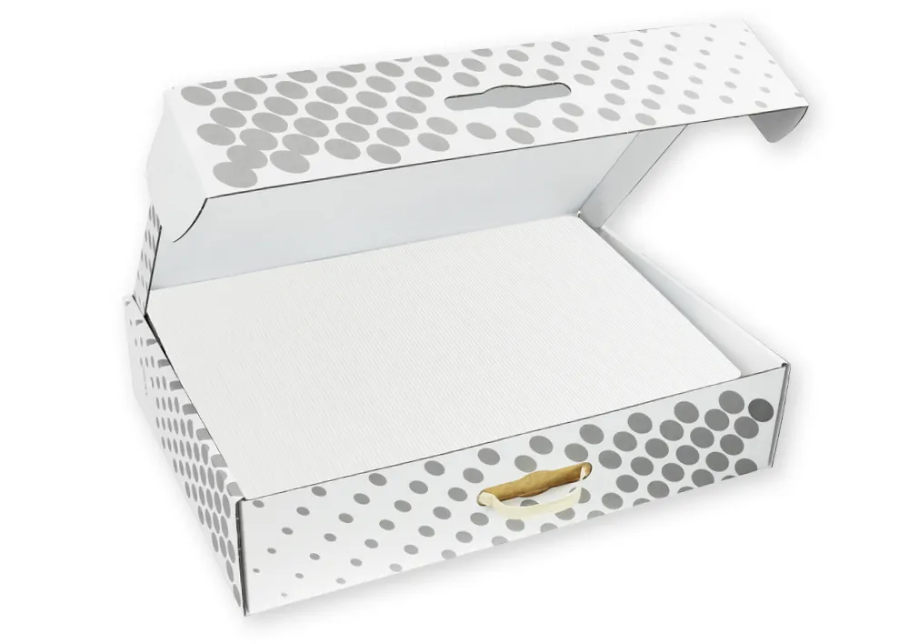 Set Sichtschutz-Wände im Tragekoffer