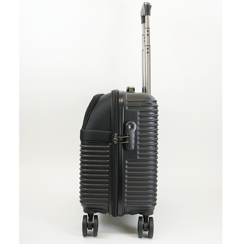 Business-Trolley "Practise"