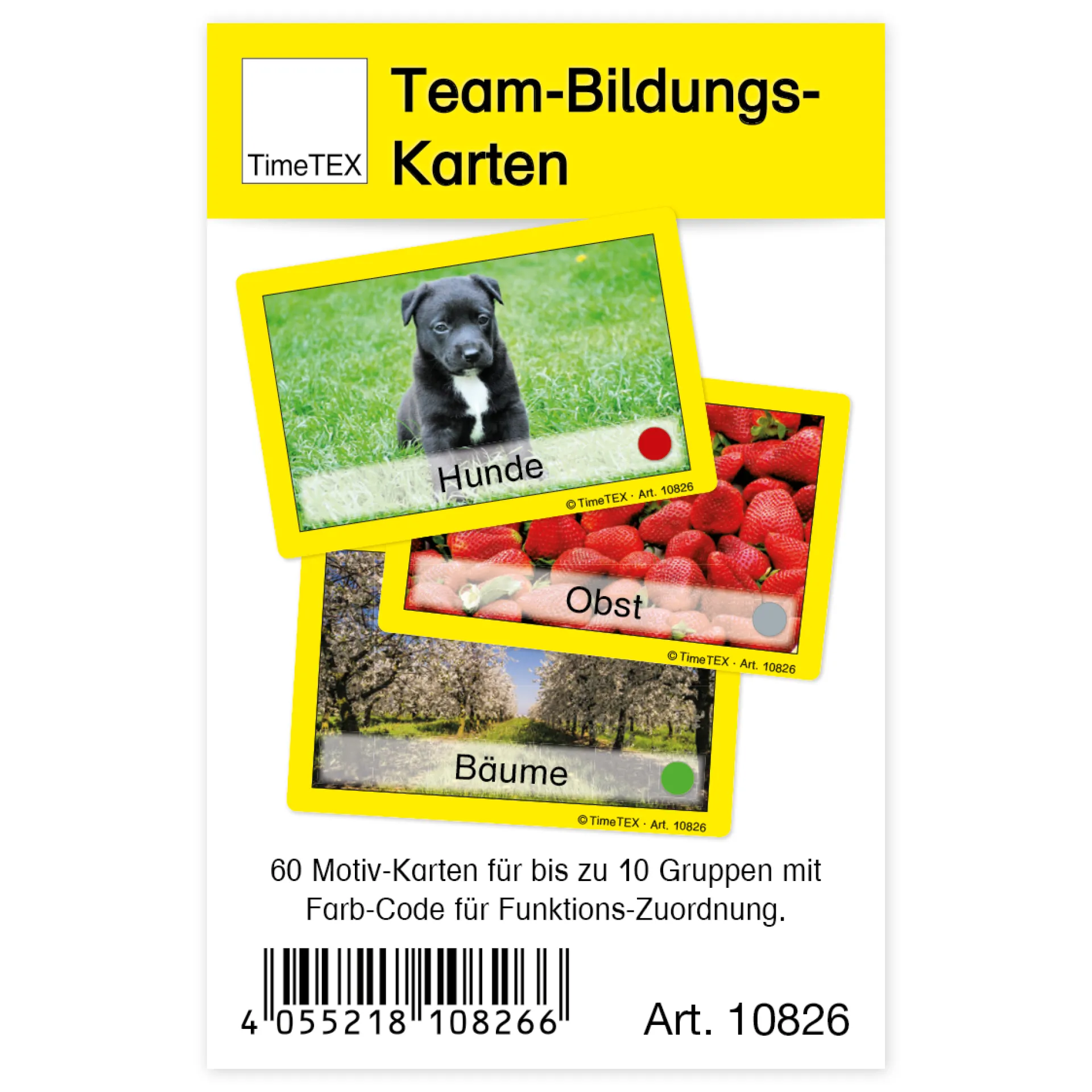 Team-Bildungs-Motiv-Karten, 60-tlg.