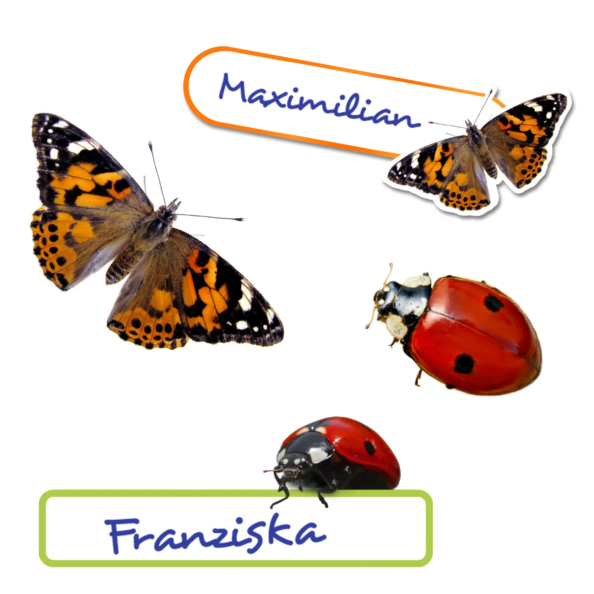 Set Aufkleber-Set "Schmetterlinge & Co.", ca. 150 Stück