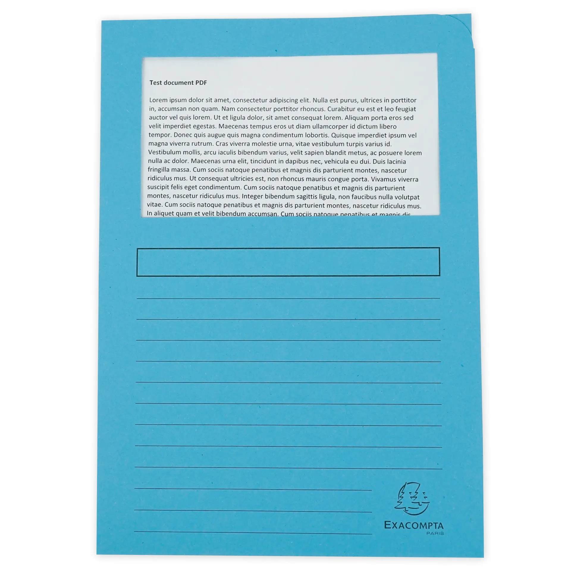 Set Dokumenten-Tasche mit Sichtfenster, bunt