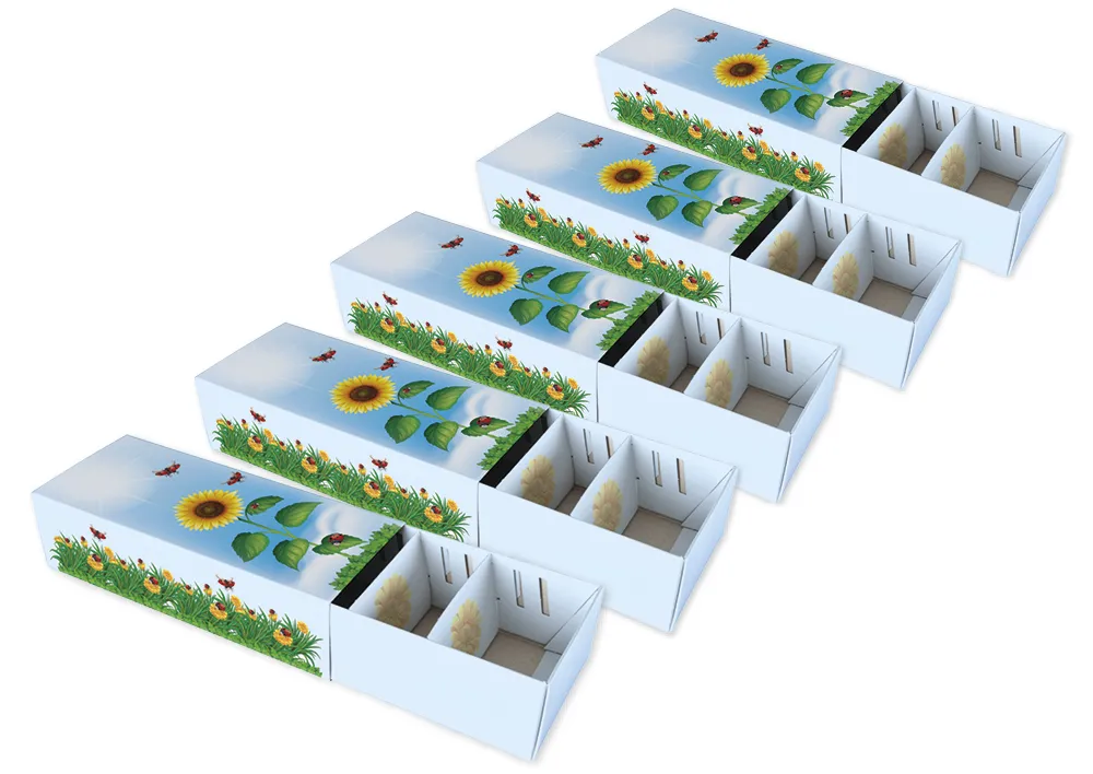 Set Karteikasten für A8, planliegend, farbig, 5 Stück