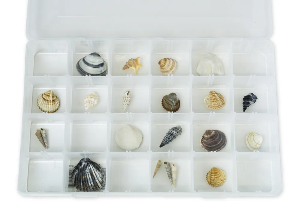 Fächer-Aufbewahrungs-Box