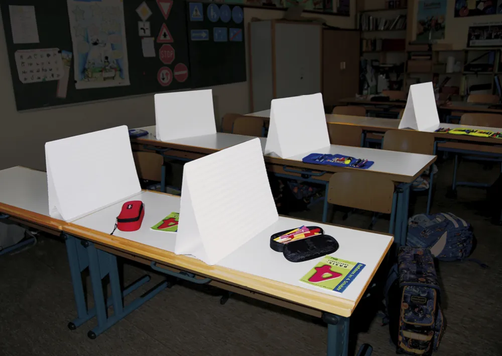 Set Sichtschutz-Wände im Tragekoffer