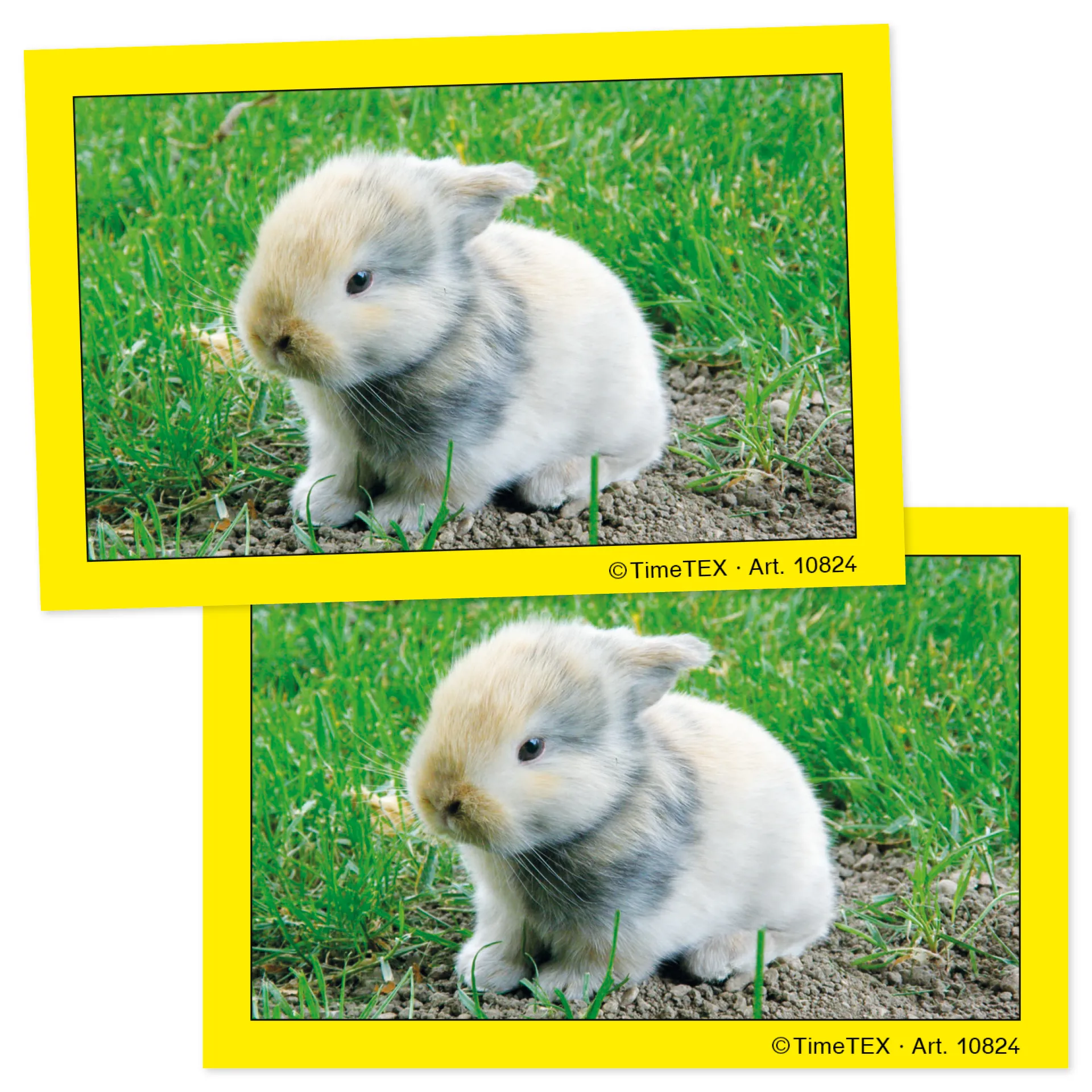 Paar-Bildungs-Karten, 35-tlg