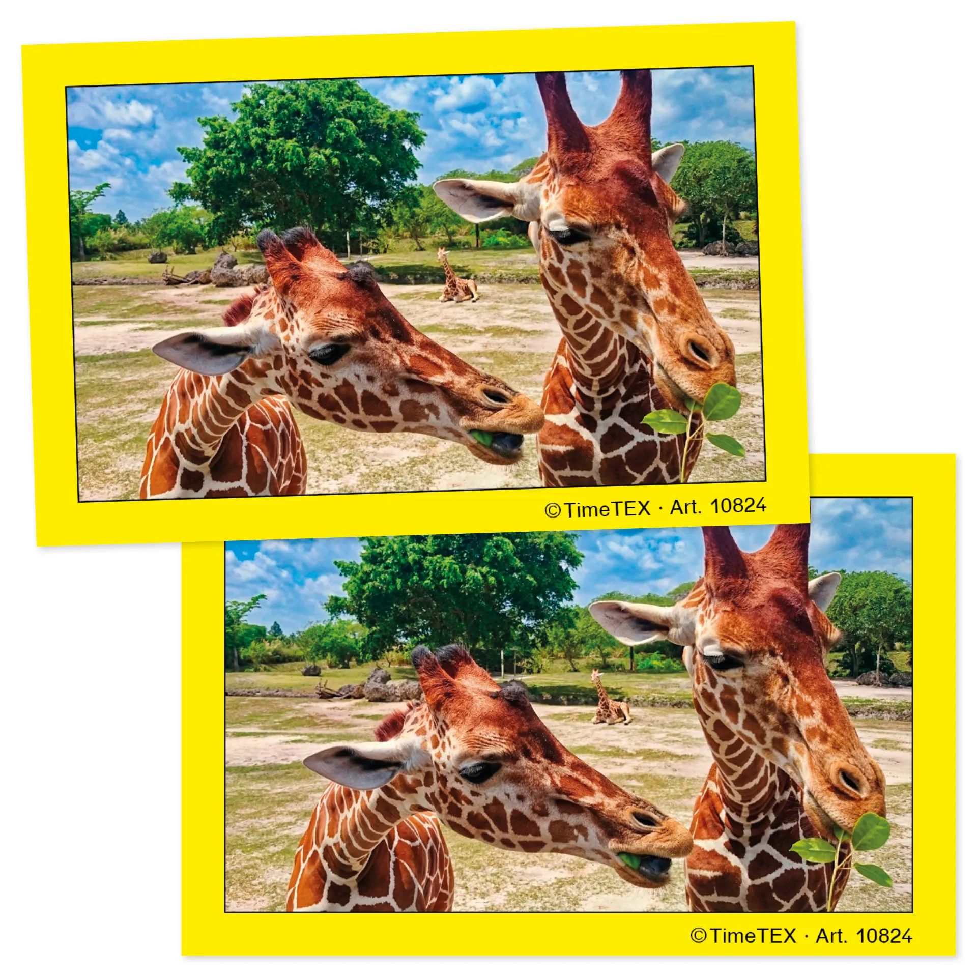 Paar-Bildungs-Karten, 35-tlg